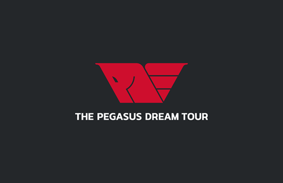 世界初のIPC公式パラリンピックゲーム 『THE PEGASUS DREAM TOUR』は 2021年に向けて進んでいます。